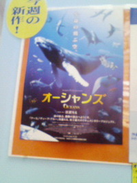 ◎どっちにしよう◎ 2010/01/28 15:50:00
