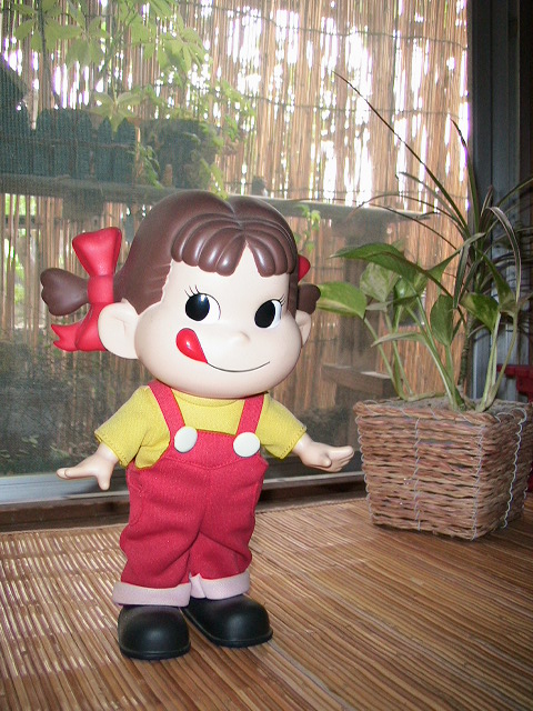 コレクション