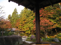☆紅葉 2010/12/01 20:47:38