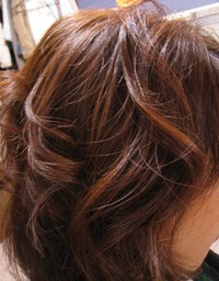 クルクル 2010/11/10 16:28:51