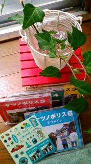 出会いのかけら 2008/06/25 14:16:44