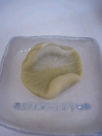 蓮の和菓子 2008/03/05 22:25:44