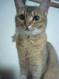 最後の日 2009/09/25 00:09:12