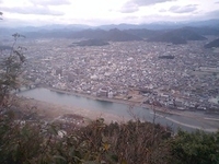 樹と水と風 2010/02/16 22:40:52
