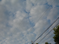 空がきれいだった