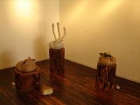 個展が始まりました 2008/11/08 00:28:37