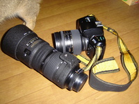 写真の会 2009/06/07 22:19:51