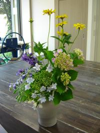 ナニワイバラと紫陽花 2009/06/19 23:05:45