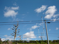 青空と満月 2009/11/05 22:32:55