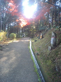 岩井山延算寺 2009/11/27 22:31:13