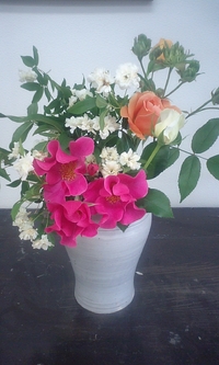 工房の花 2010/05/14 22:45:19