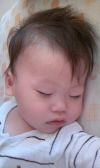 またもや・・・ 2008/03/21 16:13:21