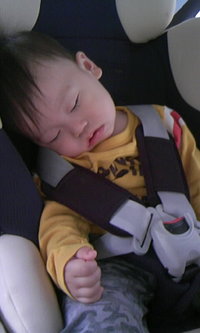 初登園！ 2008/04/02 23:05:45