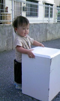 kotapapa日記２ 2008/06/24 23:40:07
