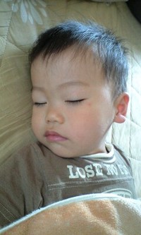 ダンパチしました 2009/05/14 19:01:23