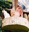 シーサーとネコ 2005/04/03 08:15:00