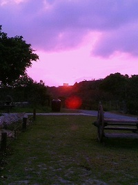 山の夕景