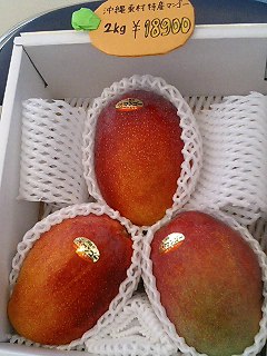 マンゴー2kg