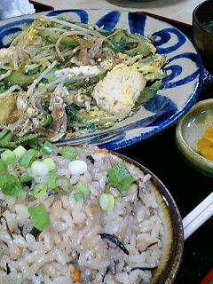 沖縄で出会った植物　1