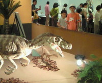 恐竜フェスティバル 2008/08/29 18:02:32