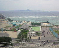 ちゅら海水族館 2010/04/26 18:26:45