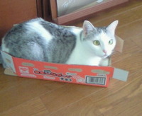 お久しぶりです。 2010/06/09 14:46:26