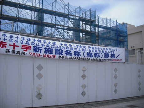 命名