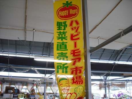 夏野菜カレー