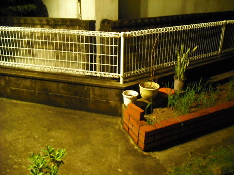 雨の朝