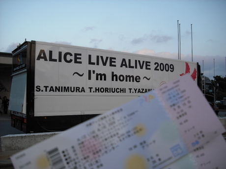 ALICE 　LIVE　ALIVE