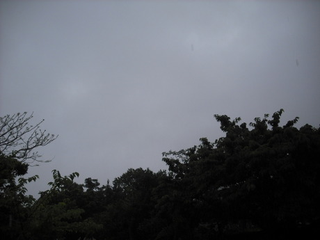 台風と梅雨前線