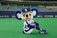 ドアラ☆☆