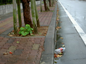私の街の清掃活動６