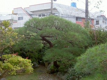 今日の目標達成