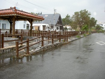 久々の地域の清掃活動