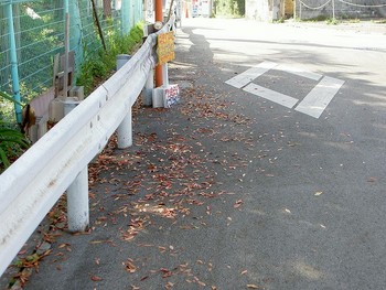 仕事前の清掃活動