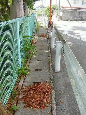 仕事前の清掃活動