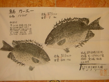 魚拓の群れ