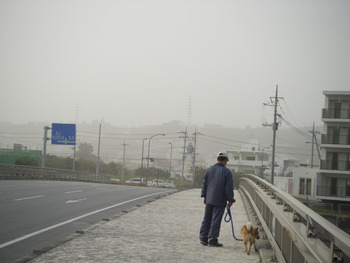 今更だけど黄砂！