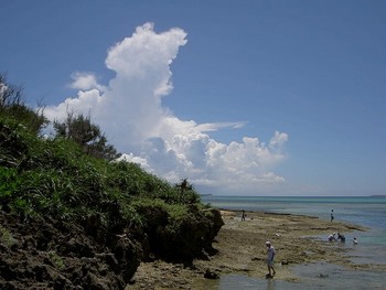 備瀬の海