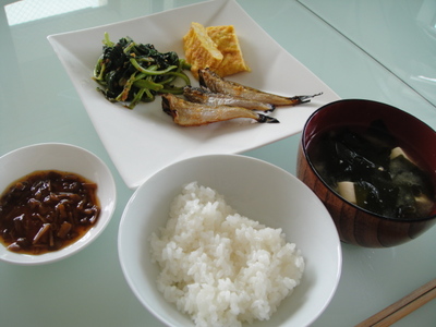 初めまして！