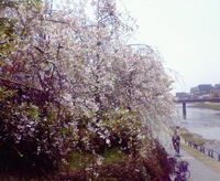 堀之内くんとの出会い 2008/03/29 18:08:44