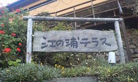 ただ今羽田空港です 2007/12/10 18:37:07