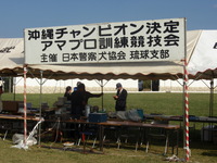 “チャオ君”４位入賞しました 2007/11/12 18:33:41