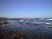 きょうはりーふ 2008/11/22 08:41:49