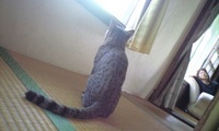 たま 2008/09/24 15:04:02