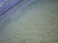 いい海です 2008/09/30 16:20:12