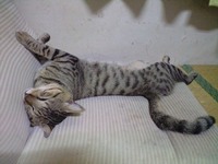 夜も 2008/10/06 22:40:30