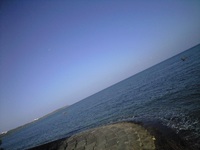 ボチボチ 2008/10/18 08:17:54