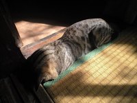 たまっぷです 2008/10/20 10:45:20
